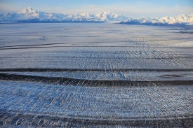Malaspina Glacier, showing medial moraines, St. Elias Mountains, Wrangell-St. Elias National Park and Preserve, Alaska.
