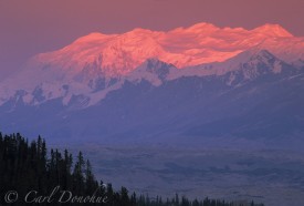 Alpen glow on Mount Logan.