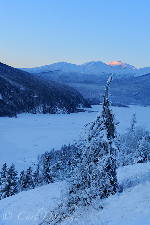 The Chitina River, frozen in winter, and it's confluence with the Copper River, as the early sunrise begins over the Chugach Mountains. Alpenglow catches the peaks of the mountains, as the frozen river valley awaits the morning glow. Chitina River, Copper River and the Chugach Mountains, Wrangell-St. Elias National Park and Preserve, Alaska.
