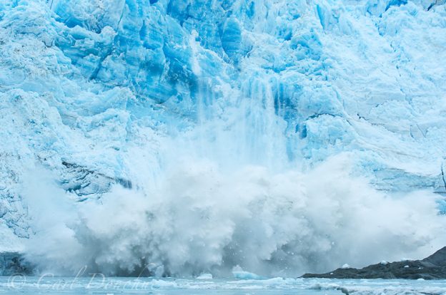 The Hubbard Glacier calving massive sheets of ice into Russell Fjord at Gilbert Point. The Hubbard Glacier is known as the calvingest glacier in the world, and lives up to its reputation. Hubbard Glacier, Russell Fjord and Disenchantment Bay, Wrangell St. Elias National Park and Preserve, Alaska.